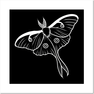 Luna moth Posters and Art